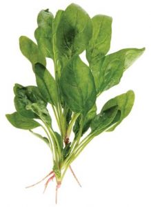 category article image